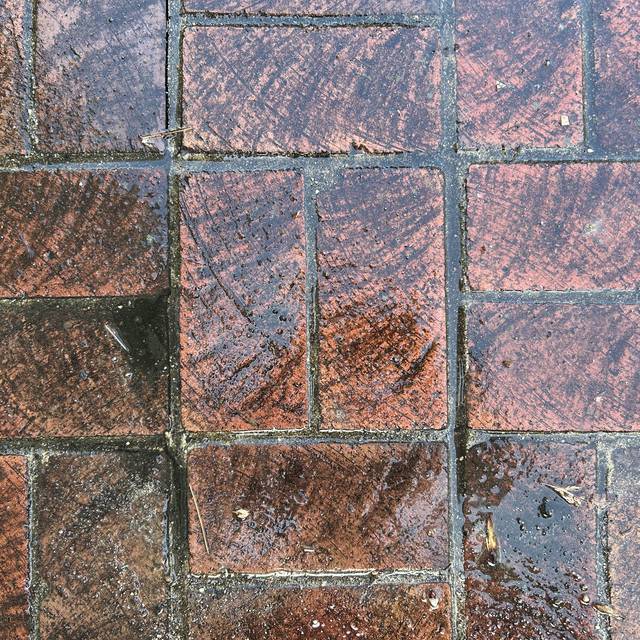 Brick paver walkway covered in grime and algae before cleaning in Springfield VA