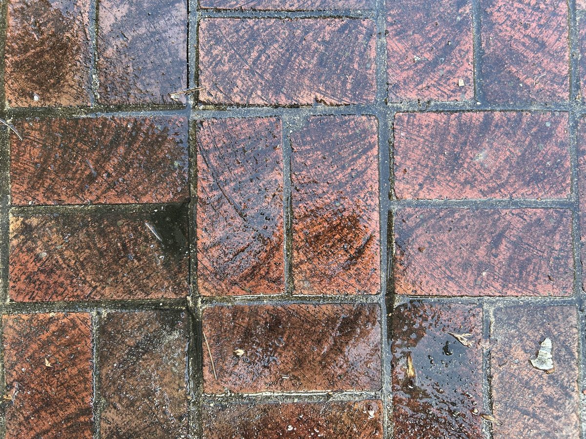 Brick paver walkway covered in grime and algae before cleaning in Springfield VA